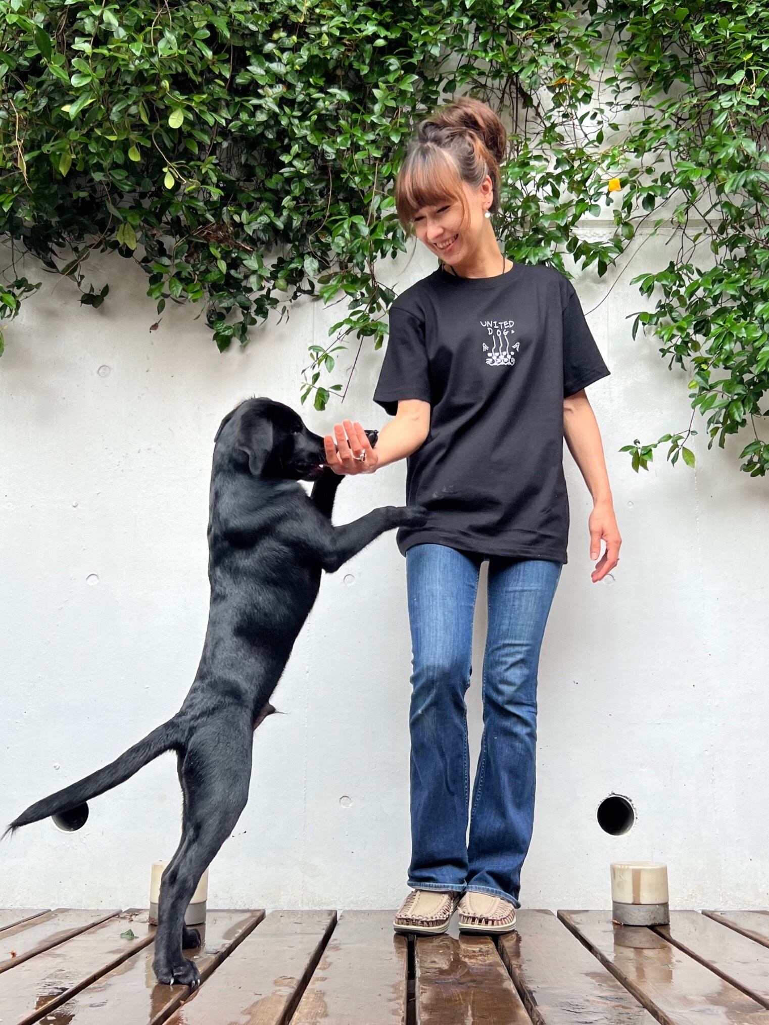 United Dogs short Tシャツ