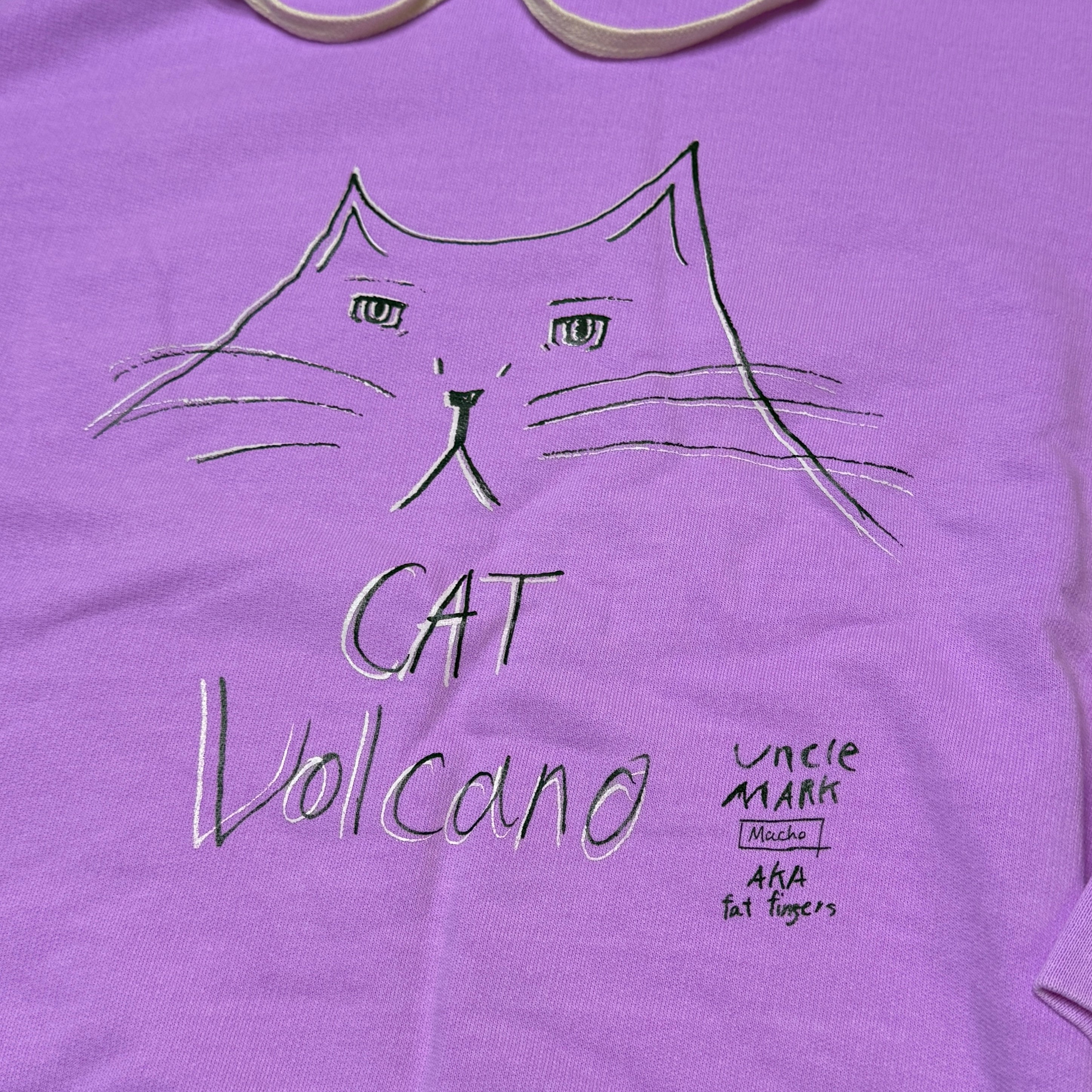 cat volcano HOODIE COMFORT COLORS 裏起毛
